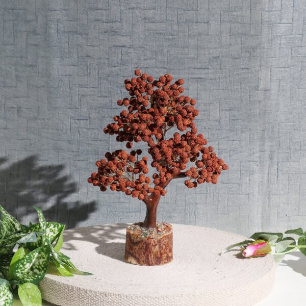 Rudraksha Tree - Image 4