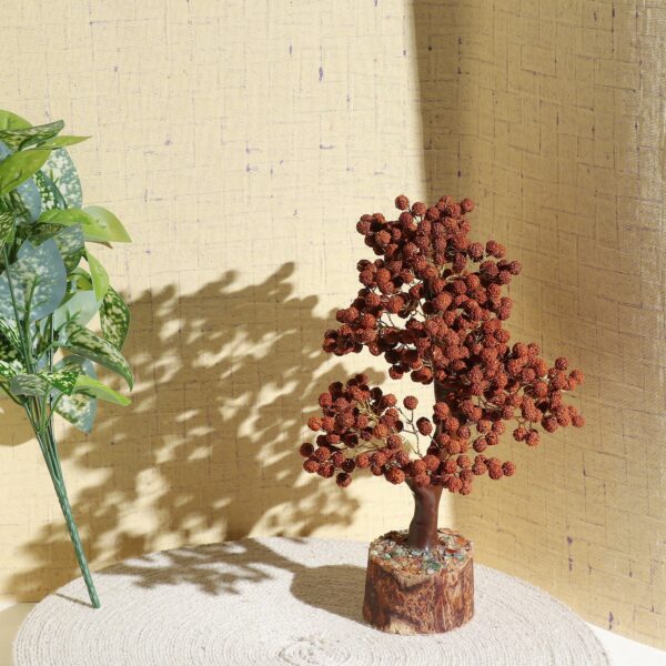 Rudraksha Tree - Image 5