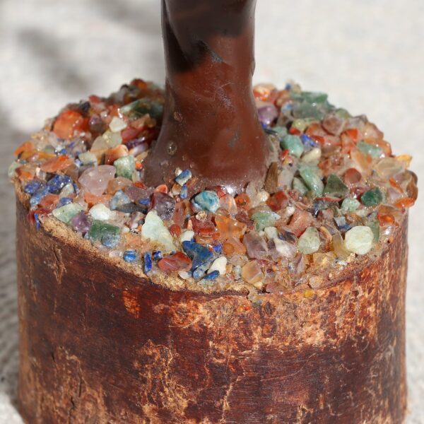 Rudraksha Tree - Image 3