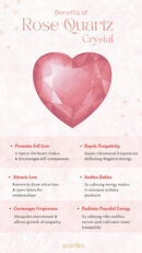 Face Rose Quartz Roller (Free Gua Sha)